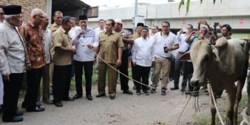 Idul Adha 1440 H, UMSU Sembelih 46 Hewan Kurban