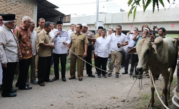 Idul Adha 1440 H, UMSU Sembelih 46 Hewan Kurban