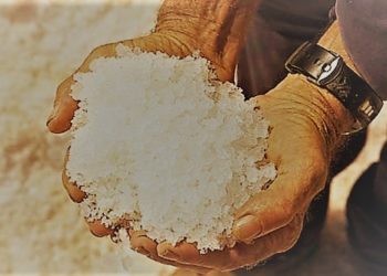 Lelaki Tua, Anak Muda dan Segenggam Garam