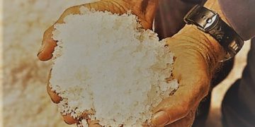 Lelaki Tua, Anak Muda dan Segenggam Garam