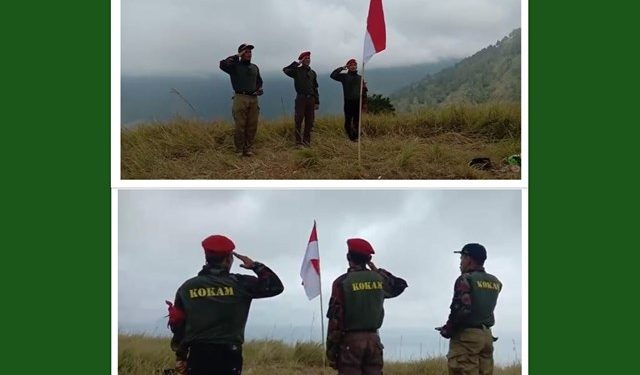 Alumni Diklat KOKAM Mawil Aceh Kibarkan Merah Putih di Puncak Gunung Peropo Silalahi Sumut