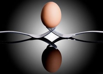 Fotografi “Still Life”