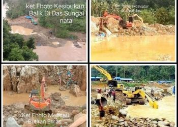 Jika Perusakan Linkungan Terus Terjadi, Peradaban Pantai Barat Madina Akan Hancur dan Tenggelam