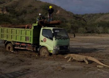 Azmi Syahputra: Proyek “Jurrasic Park” di TNK adalah Keputusan Irasional