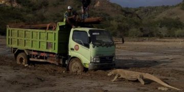 Azmi Syahputra: Proyek “Jurrasic Park” di TNK adalah Keputusan Irasional