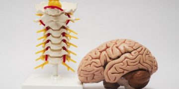 Revolusi dalam Pengobatan Penyakit Otak dan Tulang Belakang