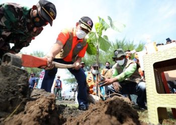 Kepala BNPB Tanam Butun dan Palaka Guna Perkuat Mitigasi Berbasis Vegetasi di Selatan Jawa