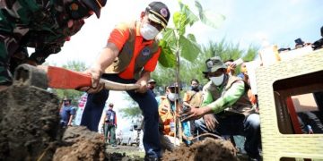 Kepala BNPB Tanam Butun dan Palaka Guna Perkuat Mitigasi Berbasis Vegetasi di Selatan Jawa