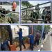 Jaga Cagar Budaya, P3KS Berkolaborasi dengan Management Cambridge Condominium Cat Jembatan Tjong Yong Hian