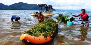 Kayaker Eksplorasi Toba Tiba di Lembah Bakara langsung Melakukan Aksi Hari Bumi