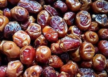 Abdurrahman bin Auf dan Kurma Busuk