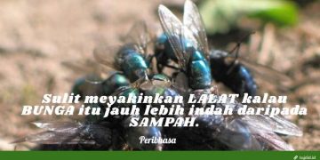 Sulit Meyakinkan Lalat