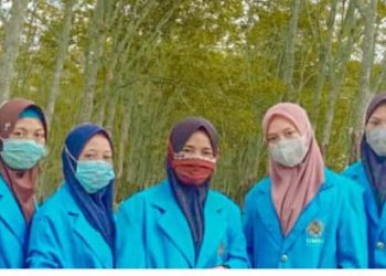 Tim PKM-PM UMSU Laksanakan Pelatihan Pemanfaatan Cangkang Buah Karet Sebagai Sentra Kreatif di Wilayah PTPN Sei Putih