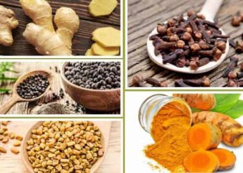 Lima Rempah Berkhasiat Melawan Peradangan