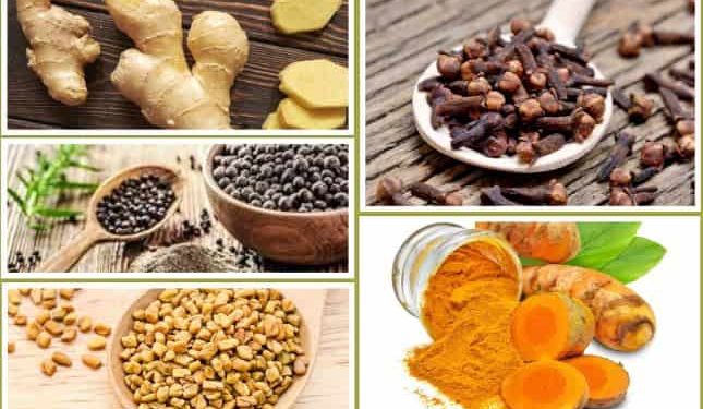 Lima Rempah Berkhasiat Melawan Peradangan