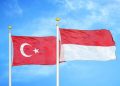 Indonesia~Turki