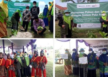 LLHPB PDA Gresik Serahkan Bibit Sayur dan Pohon kepada SMK Muhammadiyah 5 Panceng