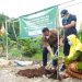 LLHPB PDA Tuban Launching Program Penanaman Pohon dan Sayur dengan Pola Asuh