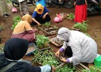 PDA Tuban Mulai Distrubusikan Bibit Sayur