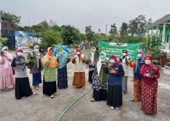 Kunjungi Lokasi Role Model Program ‘Penanaman Pohon dan Sayur dengan Pola Asuh’ di Tulungagung, LLHPB PWA Jatim Bawa Oleh-oleh 250 Bibit Tanaman