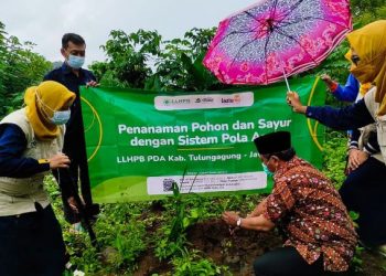 PDM Tulungangung Dukung Program Penanaman Pohon dan Sayur dengan Sistim Pola Asuh