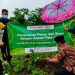 PDM Tulungangung Dukung Program Penanaman Pohon dan Sayur dengan Sistim Pola Asuh