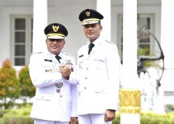 Pekong Ala Majapahit