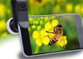 Fotografi Makro Menggunakan Ponsel Asik dan Menguji Kesabaran