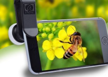 Fotografi Makro Menggunakan Ponsel Asik dan Menguji Kesabaran