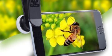 Fotografi Makro Menggunakan Ponsel Asik dan Menguji Kesabaran
