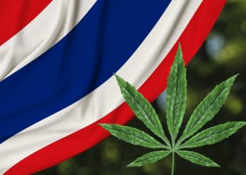 Thailand Legalkan Ganja, Malaysia Perketat Perbatasan