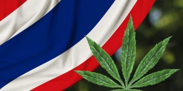 Thailand Legalkan Ganja, Malaysia Perketat Perbatasan