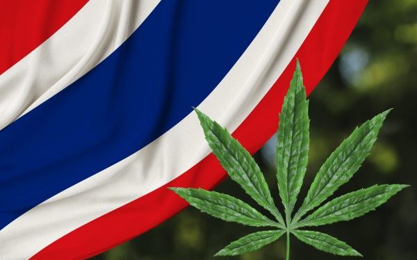 Thailand Legalkan Ganja, Malaysia Perketat Perbatasan