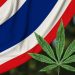 Thailand Legalkan Ganja, Malaysia Perketat Perbatasan