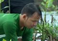 Hari Mangrove Sedunia, HIMMAH Ingatkan BPDASHL di Sumut