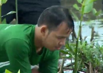 Hari Mangrove Sedunia, HIMMAH Ingatkan BPDASHL di Sumut