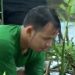 Hari Mangrove Sedunia, HIMMAH Ingatkan BPDASHL di Sumut