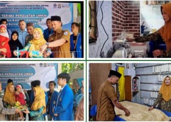 PPDM UMSU Perkuat Ekonomi Desa Pematang Johar Melalui Inovasi