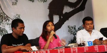 Orangutan Tetap di Hutan, Tidak Perlu Ada Penagkaran