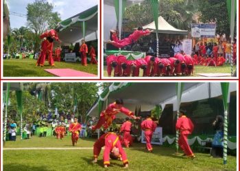 Atraksi Tapak Suci Tampil Memukau di Pra Muswil Muhammadiyah Sumsel