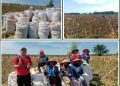 Bergerak Berdampak PPEP OKU Timur Panen Raya Jagung