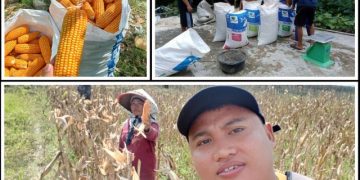 Dukung Program GSMP, Tugu Mulyo OKU Timur Dorong Pertanian Produktif