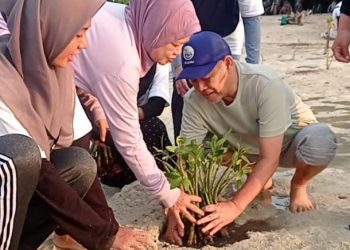 Kolaborasi Peduli Lingkungan, UHAMKA Tanam Mangrove di Pulau Pari