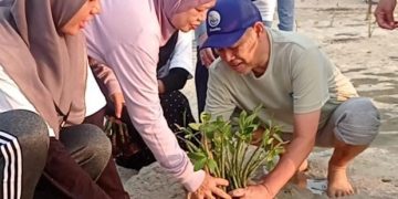 Kolaborasi Peduli Lingkungan, UHAMKA Tanam Mangrove di Pulau Pari