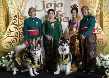 Lembaga Seni Budaya Muhammadiyah DIY Kecam Pernikahan Anjing Jojo dan Luna