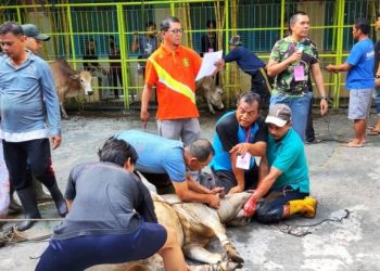 Tokoh Muhammadiyah Sumut, Ustadz Rafdinal: Berkurban Membuat Kita Peduli terhadap Sesama