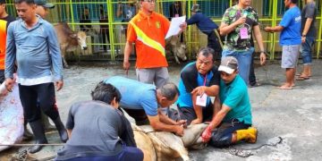 Tokoh Muhammadiyah Sumut, Ustadz Rafdinal: Berkurban Membuat Kita Peduli terhadap Sesama