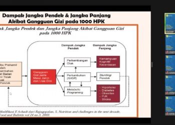 Jelang Pekan Menyusui Sedunia 2023, PP Nasyiatul Aisyiyah Adakan Webinar Dukung Ibu Menyusui dan Cegah Stunting