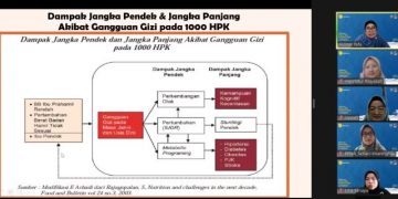 Jelang Pekan Menyusui Sedunia 2023, PP Nasyiatul Aisyiyah Adakan Webinar Dukung Ibu Menyusui dan Cegah Stunting