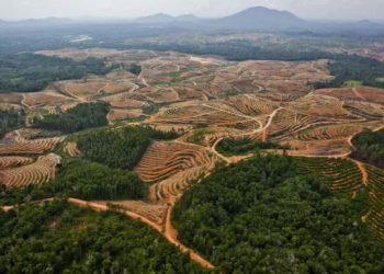 Muhammadiyah Perlu Peringatkan Pemerintah untuk Perhatikan Tata Kelola Lingkungan yang Baik